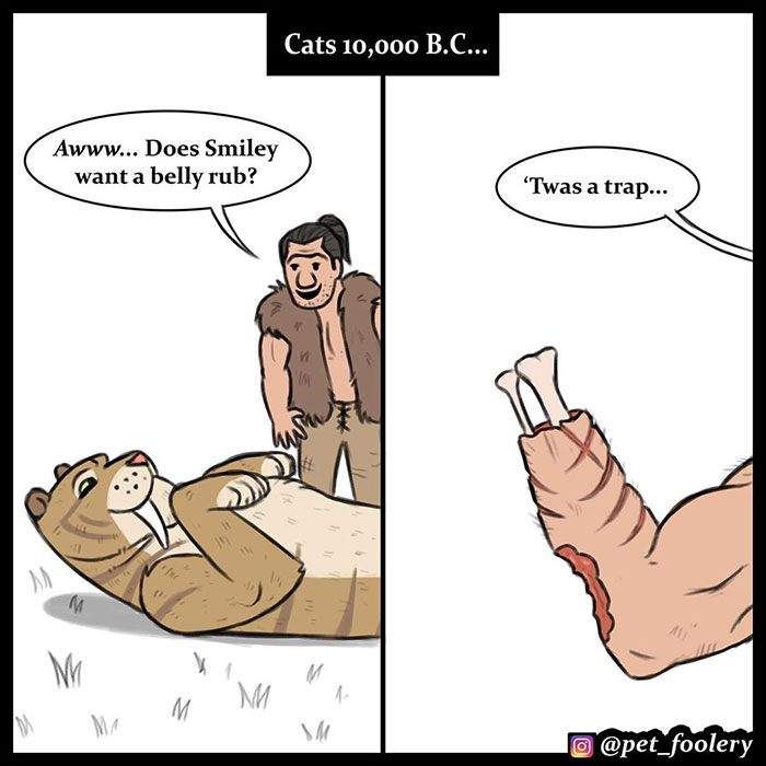 The Differences Between Prehistoric And Today’s Cats Explained In A Hilarious Comic The Differences Between Prehistoric And Today’s Cats Explained In A Hilarious Comic