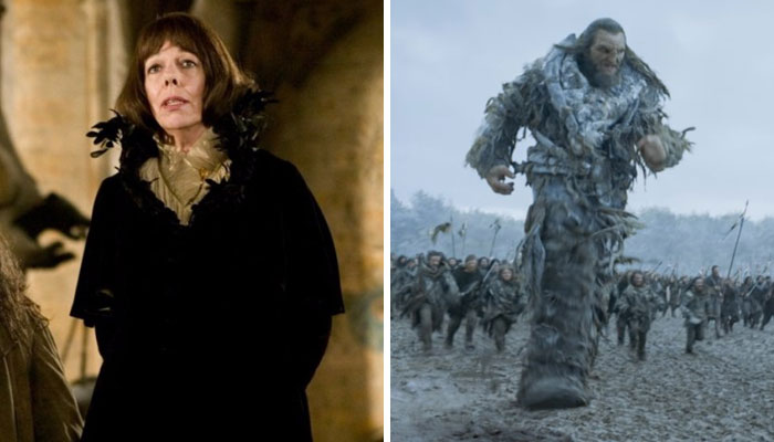 14 Actors Who Starred In Both Game Of Thrones And Harry Potter 14 Actors Who Starred In Both Game Of Thrones And Harry Potter