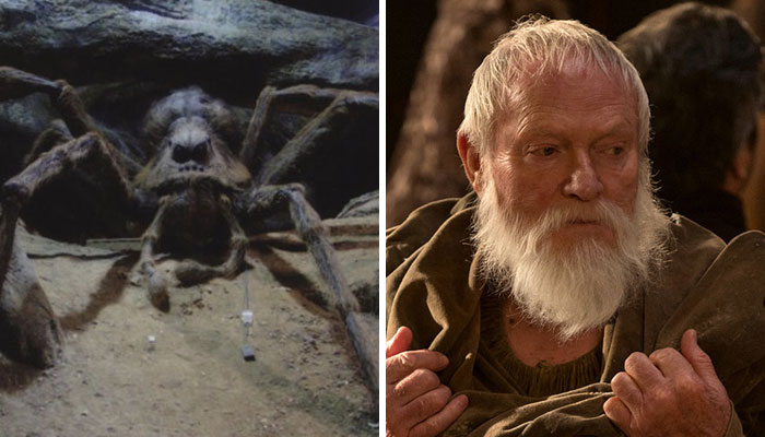 14 Actors Who Starred In Both Game Of Thrones And Harry Potter 14 Actors Who Starred In Both Game Of Thrones And Harry Potter