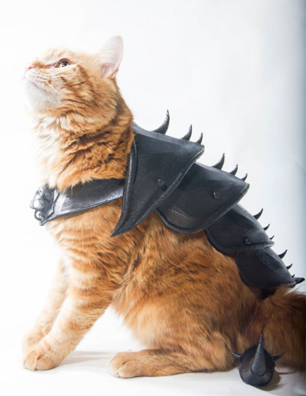 Guy Turns His Cat Into A Total Badass With This 3D Printed Armor Guy Turns His Cat Into A Total Badass With This 3D Printed Armor