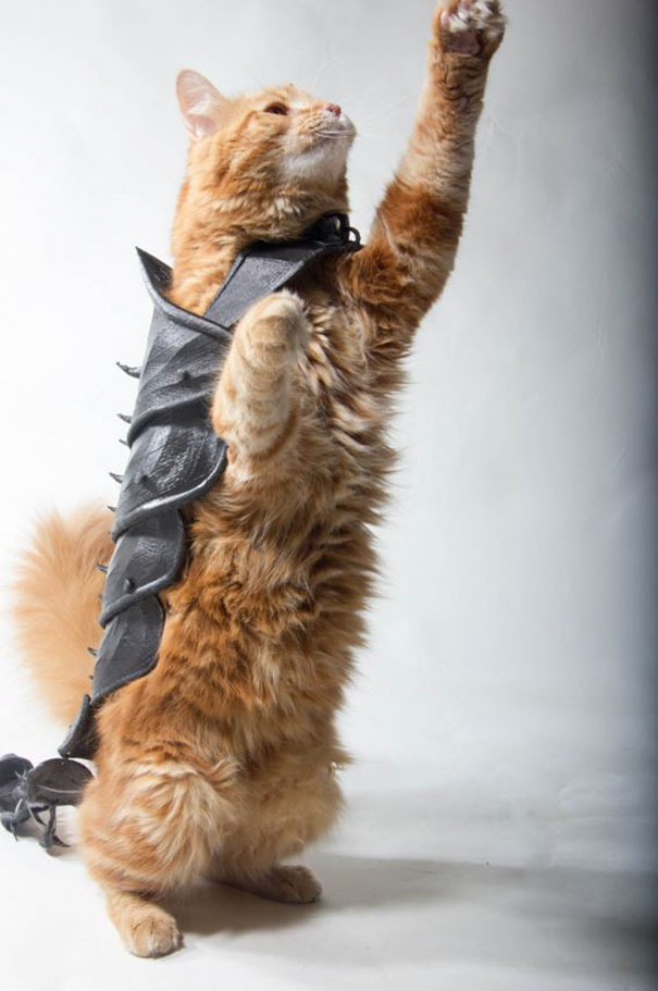 Guy Turns His Cat Into A Total Badass With This 3D Printed Armor Guy Turns His Cat Into A Total Badass With This 3D Printed Armor