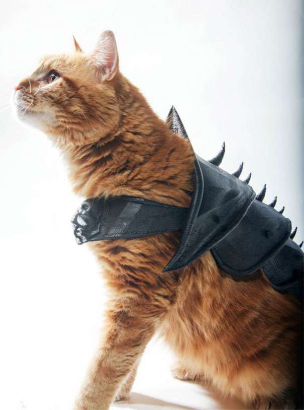 Guy Turns His Cat Into A Total Badass With This 3D Printed Armor Guy Turns His Cat Into A Total Badass With This 3D Printed Armor