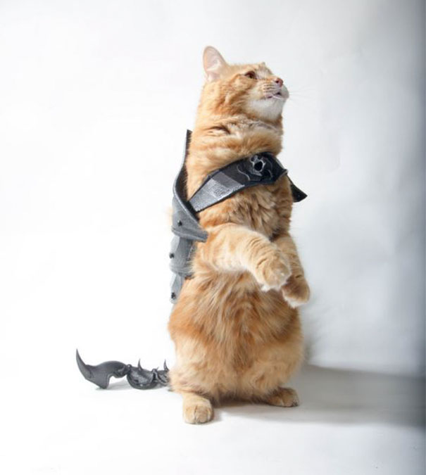 Guy Turns His Cat Into A Total Badass With This 3D Printed Armor Guy Turns His Cat Into A Total Badass With This 3D Printed Armor