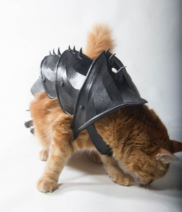 Guy Turns His Cat Into A Total Badass With This 3D Printed Armor Guy Turns His Cat Into A Total Badass With This 3D Printed Armor