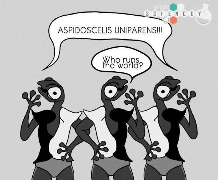 Here Are 29 Ridiculous Science Facts That We Illustrated Here Are 29 Ridiculous Science Facts That We Illustrated