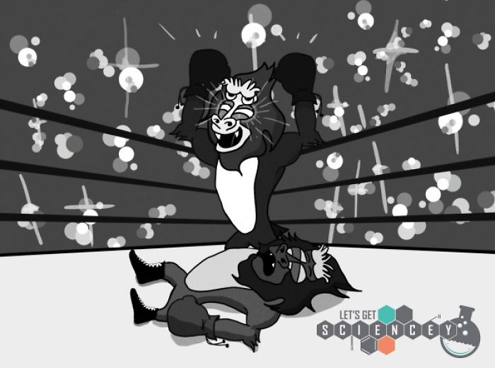 Here Are 29 Ridiculous Science Facts That We Illustrated Here Are 29 Ridiculous Science Facts That We Illustrated