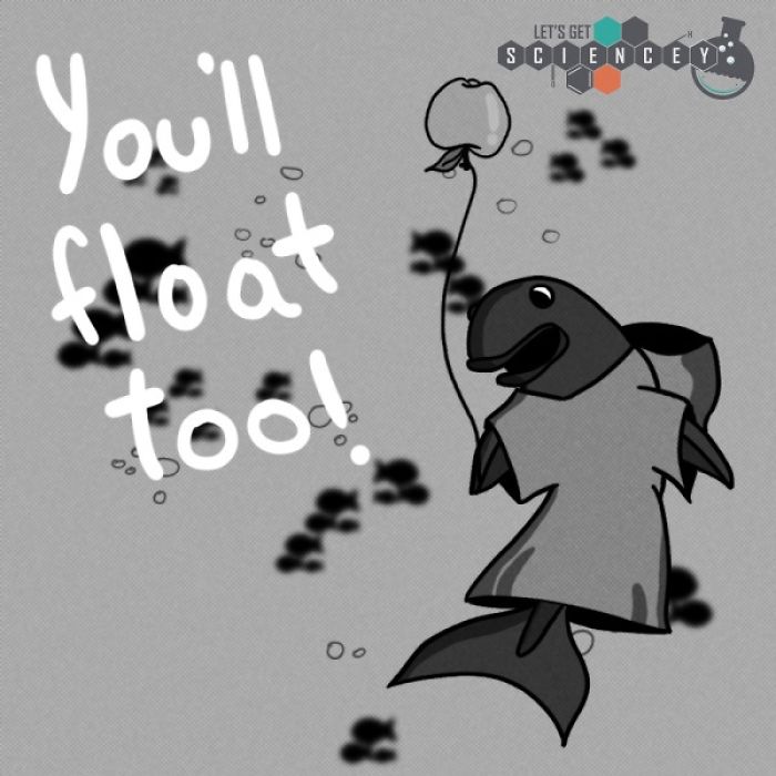 Here Are 29 Ridiculous Science Facts That We Illustrated Here Are 29 Ridiculous Science Facts That We Illustrated