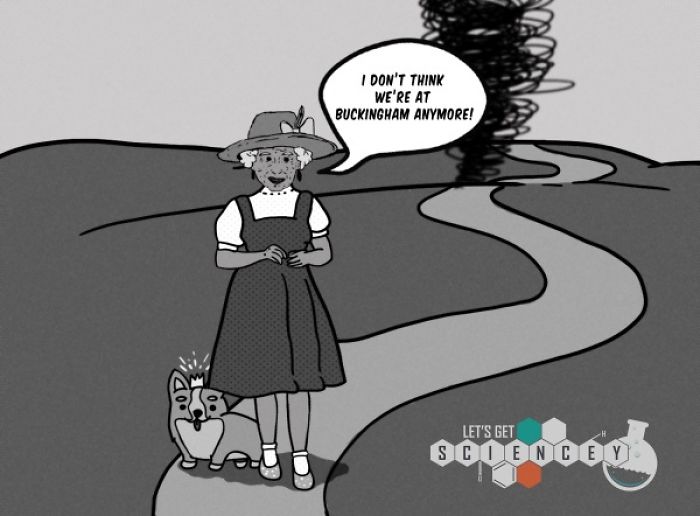 Here Are 29 Ridiculous Science Facts That We Illustrated Here Are 29 Ridiculous Science Facts That We Illustrated