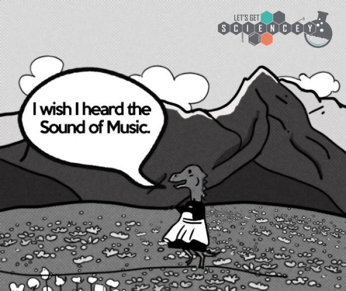 Here Are 29 Ridiculous Science Facts That We Illustrated Here Are 29 Ridiculous Science Facts That We Illustrated