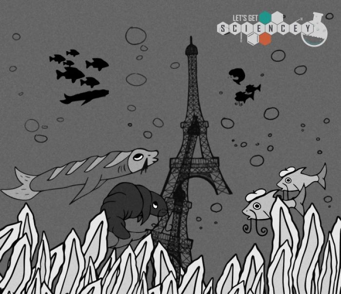 Here Are 29 Ridiculous Science Facts That We Illustrated Here Are 29 Ridiculous Science Facts That We Illustrated