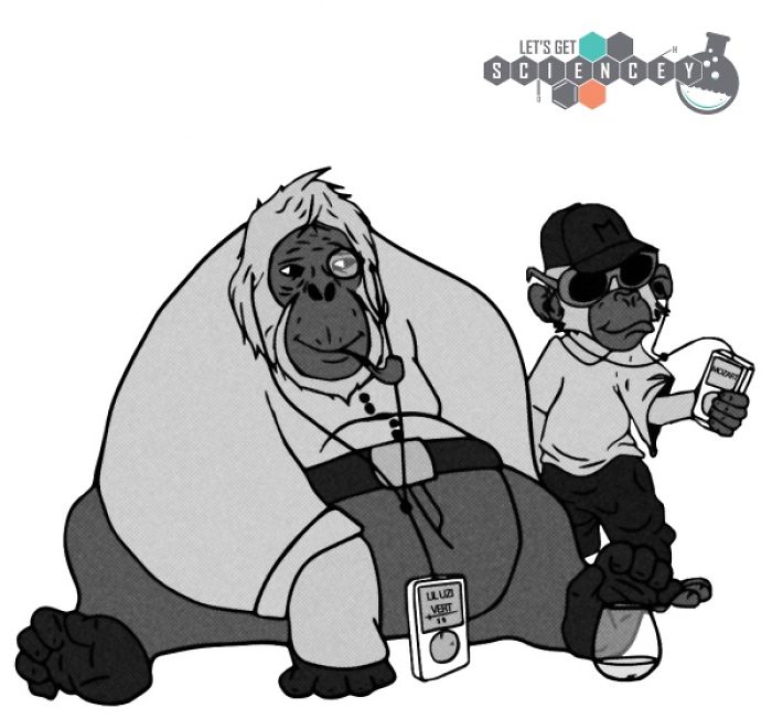 Here Are 29 Ridiculous Science Facts That We Illustrated Here Are 29 Ridiculous Science Facts That We Illustrated