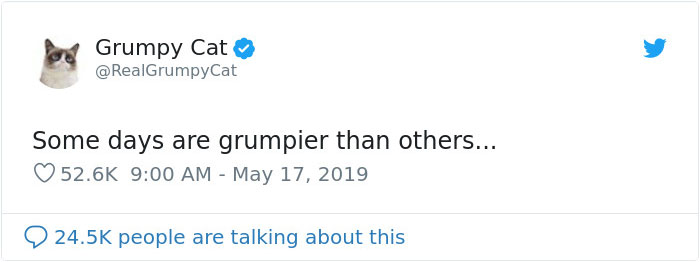 Grumpy Cat Dies Aged 7 Grumpy Cat Dies Aged 7