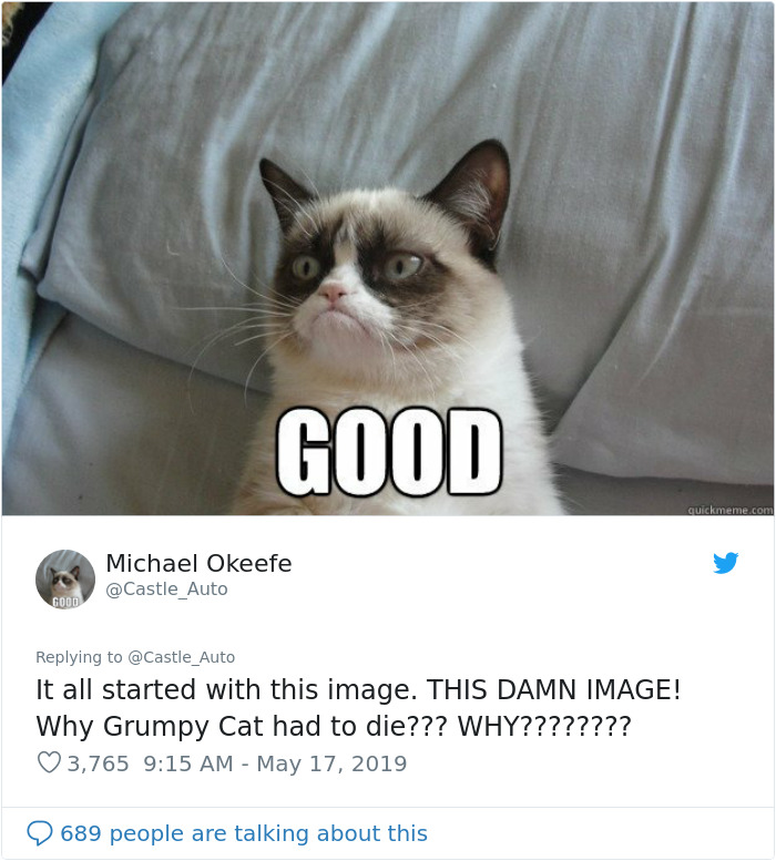 Grumpy Cat Dies Aged 7 Grumpy Cat Dies Aged 7