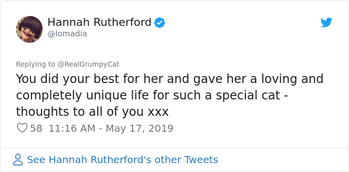 Grumpy Cat Dies Aged 7 Grumpy Cat Dies Aged 7