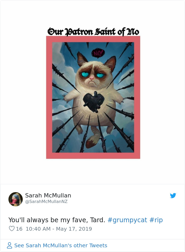 Grumpy Cat Dies Aged 7 Grumpy Cat Dies Aged 7