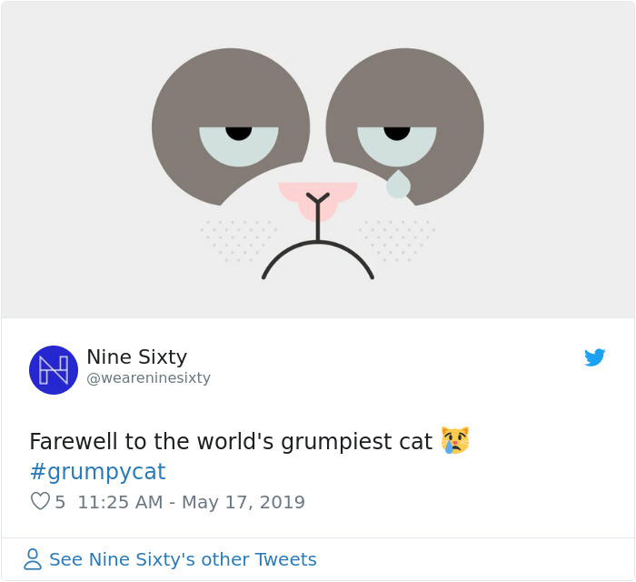 Grumpy Cat Dies Aged 7 Grumpy Cat Dies Aged 7