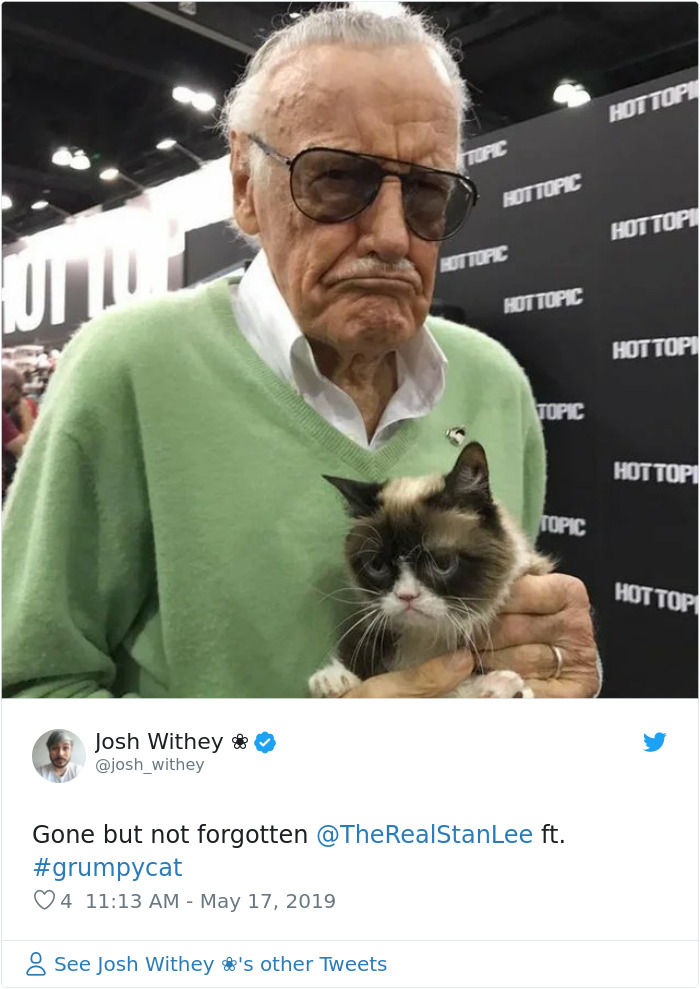 Grumpy Cat Dies Aged 7 Grumpy Cat Dies Aged 7