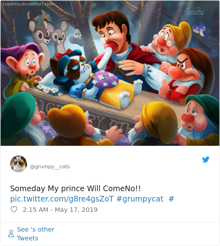 Grumpy Cat Dies Aged 7 Grumpy Cat Dies Aged 7