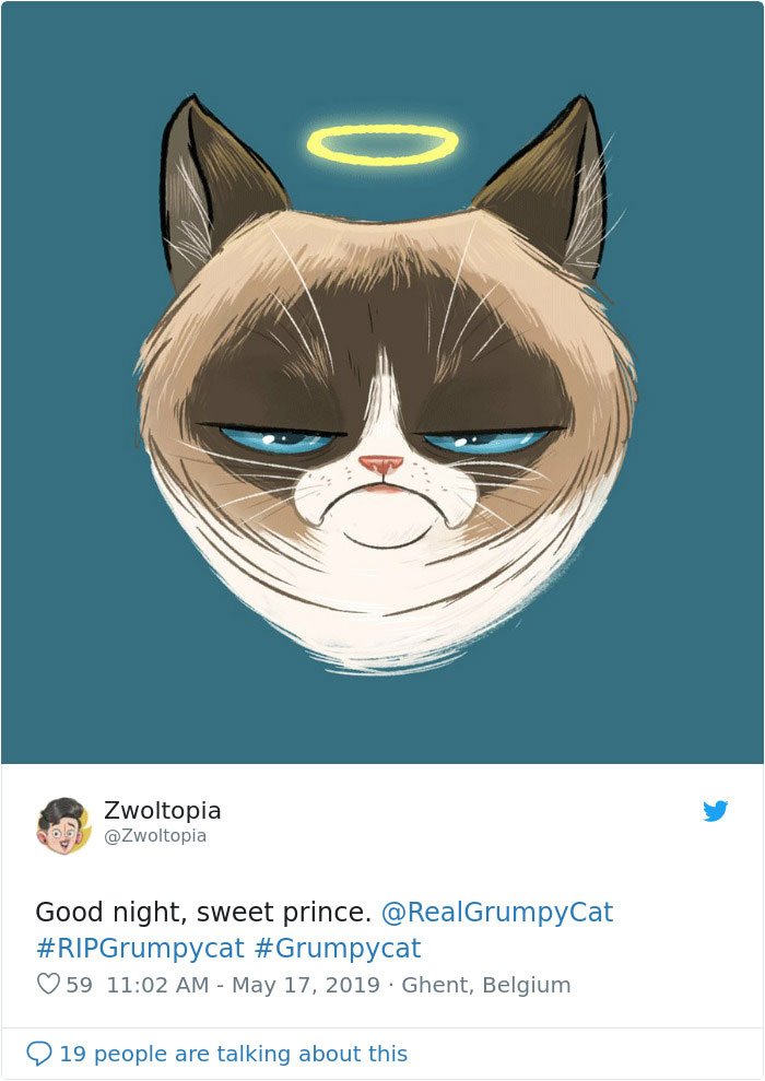 Grumpy Cat Dies Aged 7 Grumpy Cat Dies Aged 7