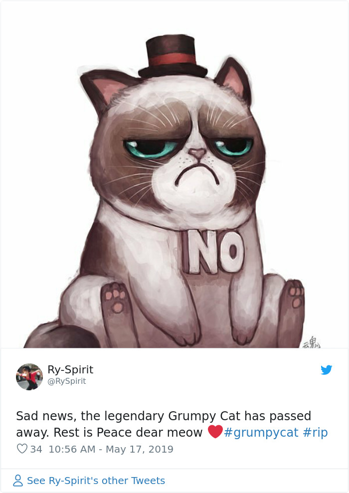 Grumpy Cat Dies Aged 7 Grumpy Cat Dies Aged 7