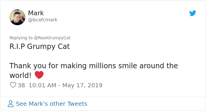 Grumpy Cat Dies Aged 7 Grumpy Cat Dies Aged 7