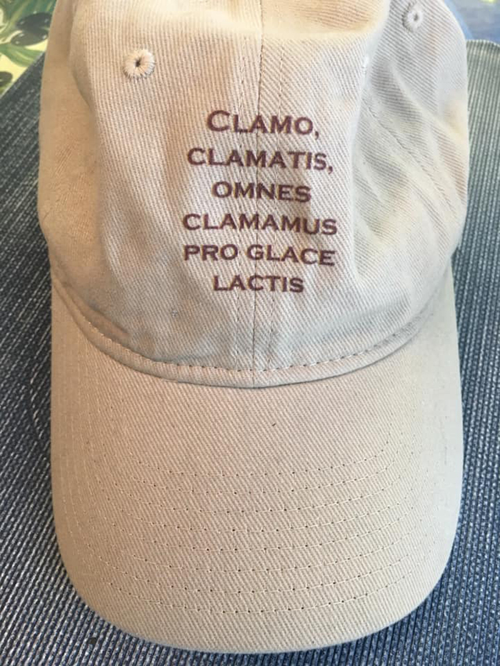 30 Times People Couldn&rsquo;t Believe Their Luck In Thrift Stores