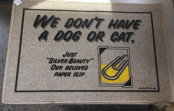 30 Times People Couldn&rsquo;t Believe Their Luck In Thrift Stores