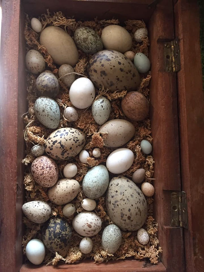 30 Times People Couldn&rsquo;t Believe Their Luck In Thrift Stores