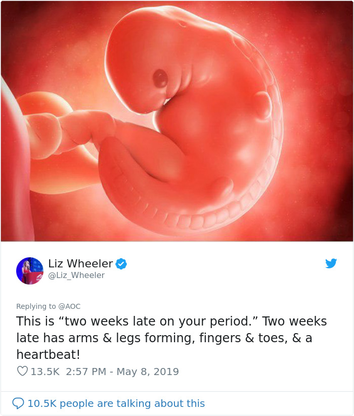 Woman Posts Pic Of 6-Week-Old Embryo To Shame Pro-Choicers, One Of Them Responds With Scientific Facts On What Makes Us Human Woman Posts Pic Of 6-Week-Old Embryo To Shame Pro-Choicers, One Of Them Responds With Scientific Facts On What Makes Us Human