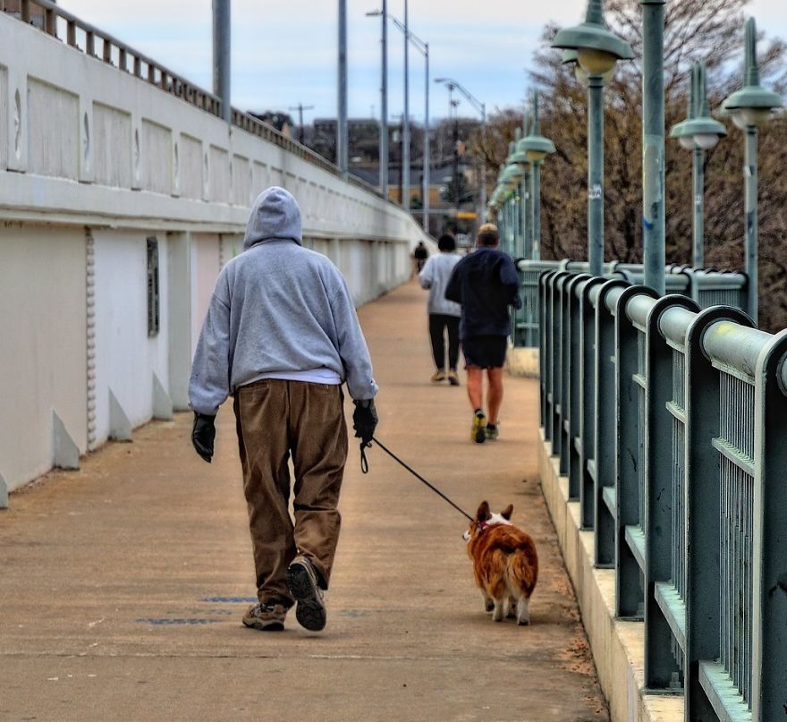 Here Are 10 Laws On Animal Protection From Different Countries That Might Help You Believe In Humanity Again