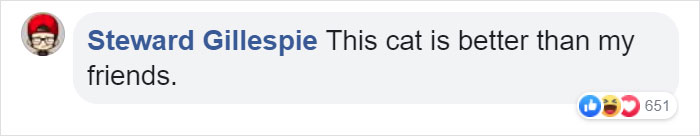 Owner Can’t Be Mad At The Cat Anymore For Destroying His Earphone Cable, As The Cat Returned With A Snake As A Replacement Owner Can’t Be Mad At The Cat Anymore For Destroying His Earphone Cable, As The Cat Returned With A Snake As A Replacement