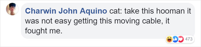 Owner Can’t Be Mad At The Cat Anymore For Destroying His Earphone Cable, As The Cat Returned With A Snake As A Replacement Owner Can’t Be Mad At The Cat Anymore For Destroying His Earphone Cable, As The Cat Returned With A Snake As A Replacement