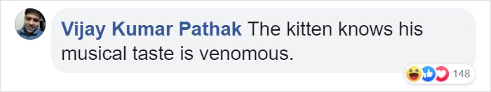 Owner Can’t Be Mad At The Cat Anymore For Destroying His Earphone Cable, As The Cat Returned With A Snake As A Replacement Owner Can’t Be Mad At The Cat Anymore For Destroying His Earphone Cable, As The Cat Returned With A Snake As A Replacement