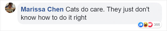 Owner Can’t Be Mad At The Cat Anymore For Destroying His Earphone Cable, As The Cat Returned With A Snake As A Replacement Owner Can’t Be Mad At The Cat Anymore For Destroying His Earphone Cable, As The Cat Returned With A Snake As A Replacement