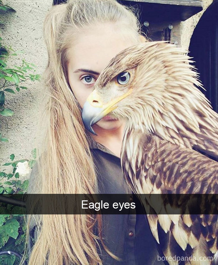 50 Times Birds Were So Funny, People Just Had To Snapchat Them 50 Times Birds Were So Funny, People Just Had To Snapchat Them