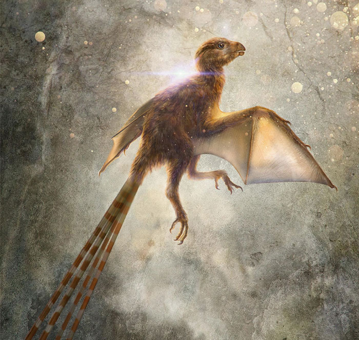 Scientists Just Discovered 163 Million-Year-Old Dinosaur Remains And Looks Like They Had Bat Wings Scientists Just Discovered 163 Million-Year-Old Dinosaur Remains And Looks Like They Had Bat Wings