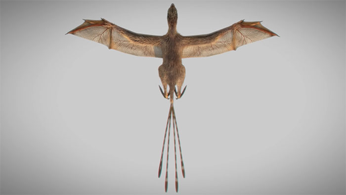 Scientists Just Discovered 163 Million-Year-Old Dinosaur Remains And Looks Like They Had Bat Wings Scientists Just Discovered 163 Million-Year-Old Dinosaur Remains And Looks Like They Had Bat Wings