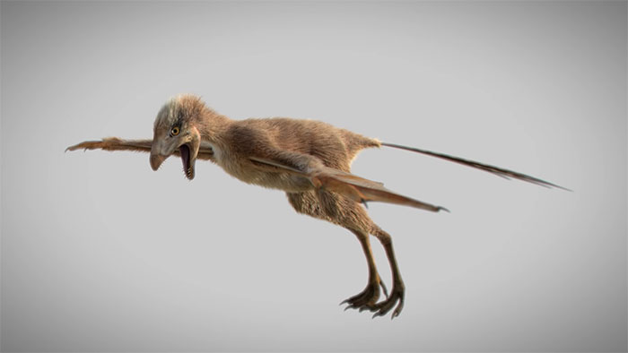 Scientists Just Discovered 163 Million-Year-Old Dinosaur Remains And Looks Like They Had Bat Wings Scientists Just Discovered 163 Million-Year-Old Dinosaur Remains And Looks Like They Had Bat Wings