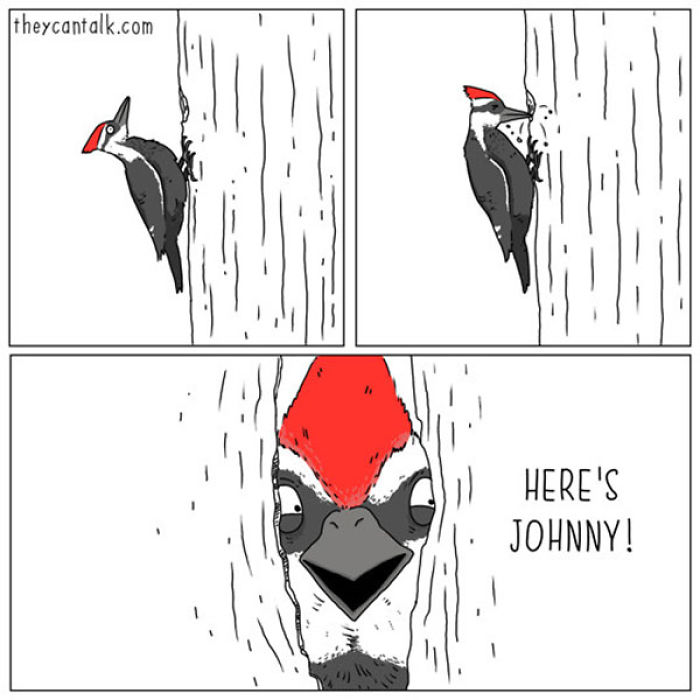 I Show What Birds Would Say If They Could Talk (26 Pics) I Show What Birds Would Say If They Could Talk (26 Pics)