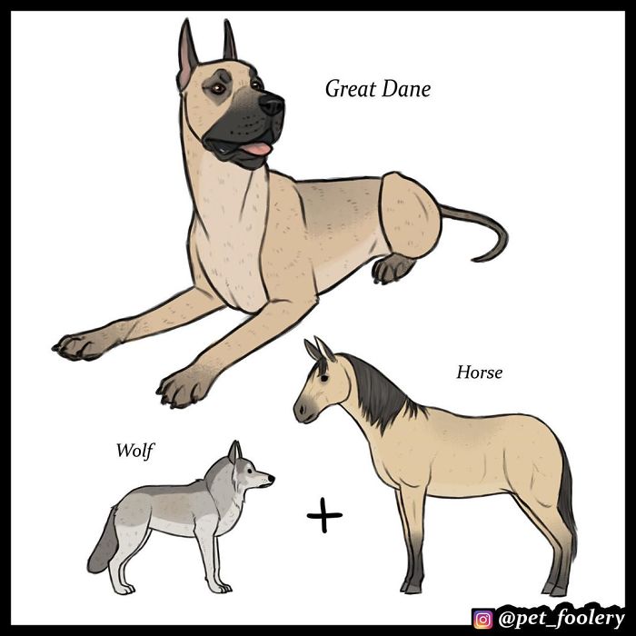 Artist Imagines The Origins Of ‘Unique Dog Breeds’ And They’re Ridiculously Hilarious Artist Imagines The Origins Of ‘Unique Dog Breeds’ And They’re Ridiculously Hilarious