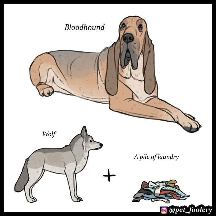Artist Imagines The Origins Of ‘Unique Dog Breeds’ And They’re Ridiculously Hilarious Artist Imagines The Origins Of ‘Unique Dog Breeds’ And They’re Ridiculously Hilarious