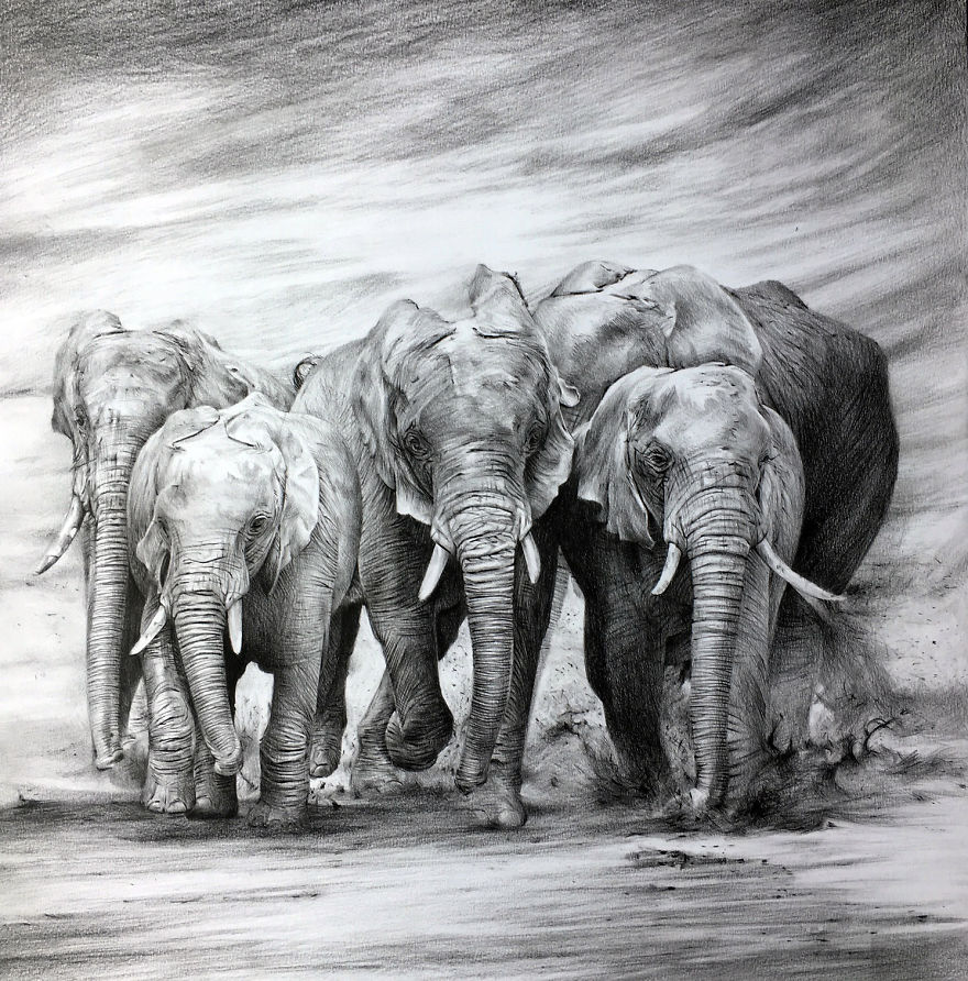 One Pen And One Month Later: Drawing My 5 Elephants One Pen And One Month Later: Drawing My 5 Elephants