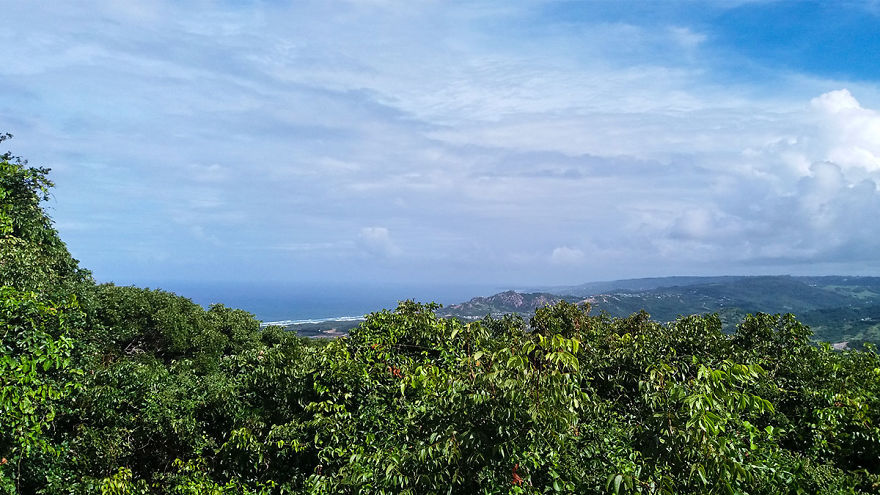 I Spent A Few Hours With The Animals At The Wildlife Reserve In Barbados I Spent A Few Hours With The Animals At The Wildlife Reserve In Barbados