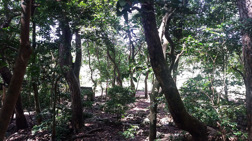 I Spent A Few Hours With The Animals At The Wildlife Reserve In Barbados I Spent A Few Hours With The Animals At The Wildlife Reserve In Barbados