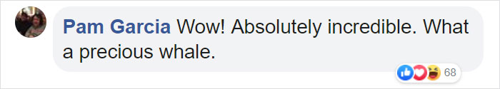 Friendly Beluga Returns Phone Woman Accidentally Dropped Into Ocean Friendly Beluga Returns Phone Woman Accidentally Dropped Into Ocean