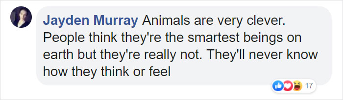 Friendly Beluga Returns Phone Woman Accidentally Dropped Into Ocean Friendly Beluga Returns Phone Woman Accidentally Dropped Into Ocean