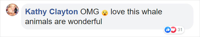 Friendly Beluga Returns Phone Woman Accidentally Dropped Into Ocean Friendly Beluga Returns Phone Woman Accidentally Dropped Into Ocean