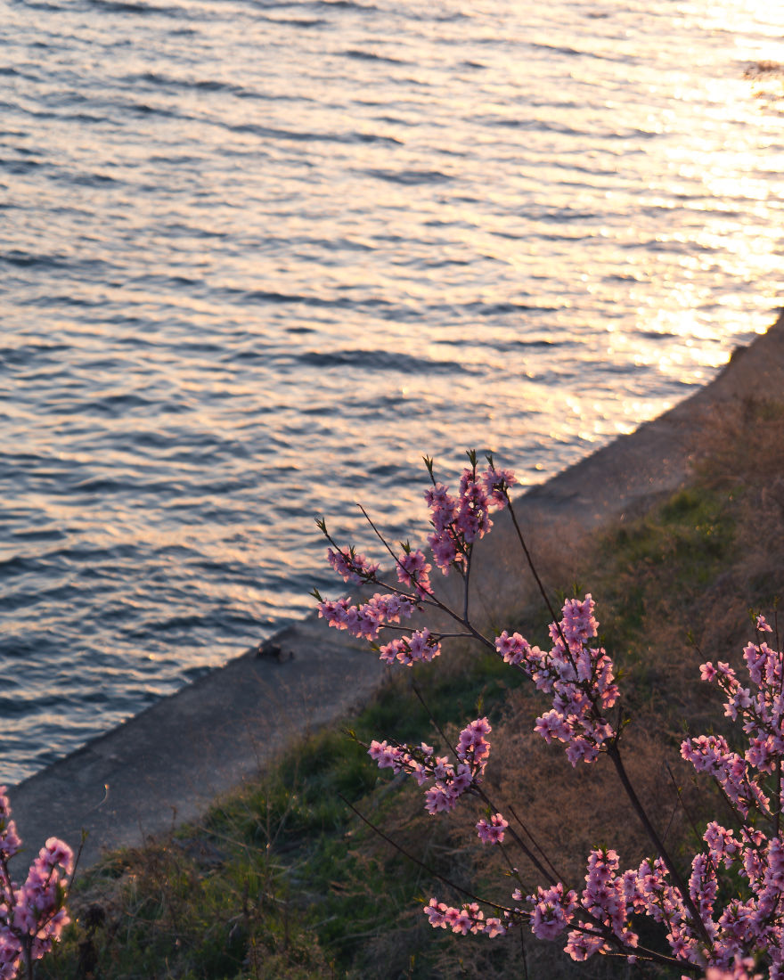 I&#8217;ve Been Living In South Korea For Three Years And Here Are Some Photos That I&#8217;ve Taken So Far