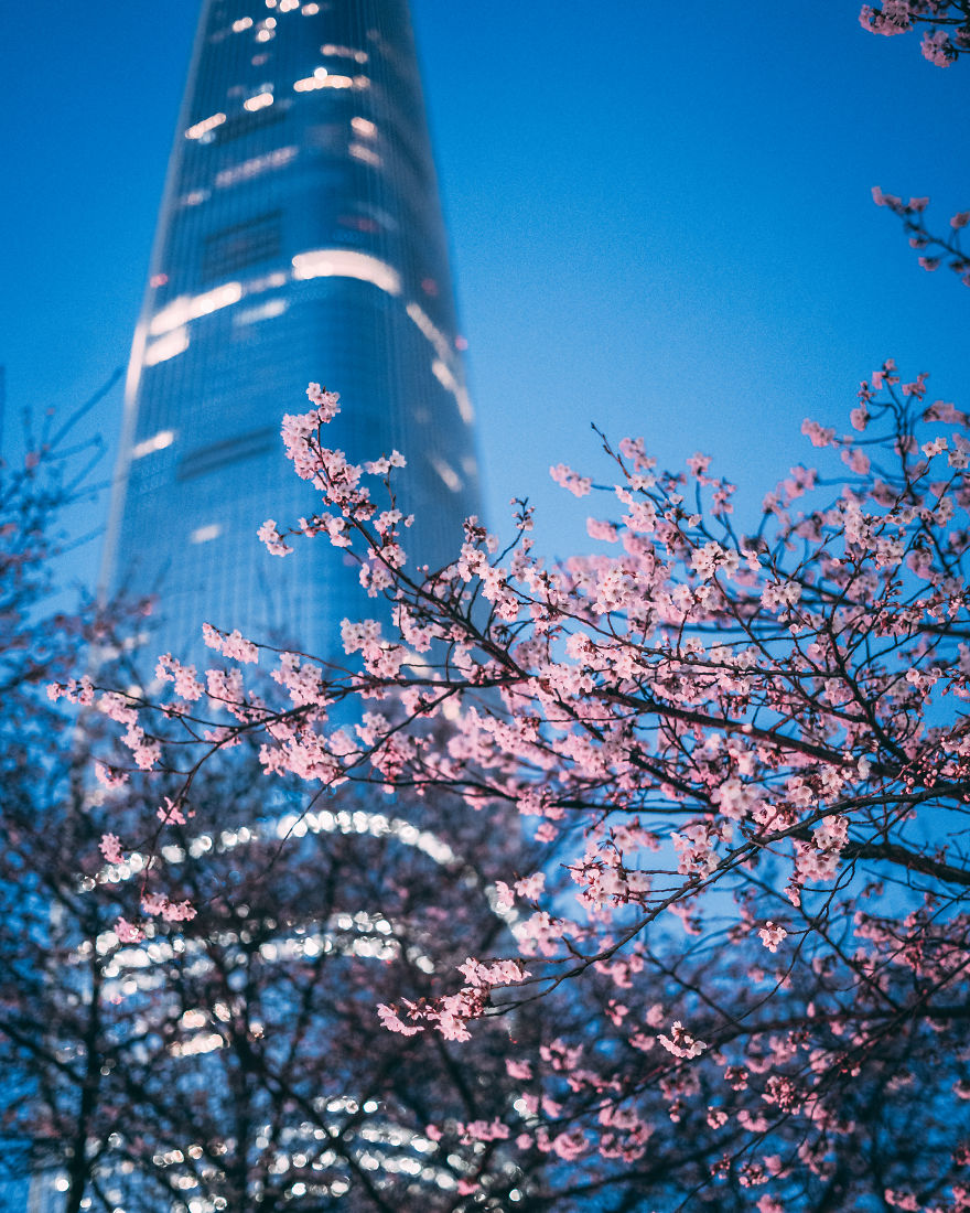 I&#8217;ve Been Living In South Korea For Three Years And Here Are Some Photos That I&#8217;ve Taken So Far