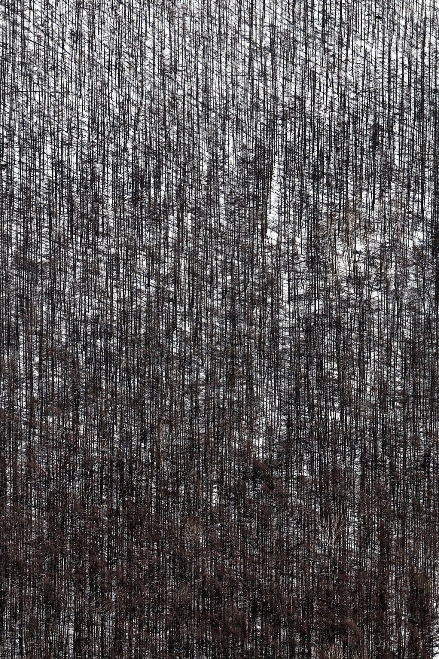 30 Breathtaking Photos From The 2019 National Geographic Travel Photo Contest Finalists 30 Breathtaking Photos From The 2019 National Geographic Travel Photo Contest Finalists